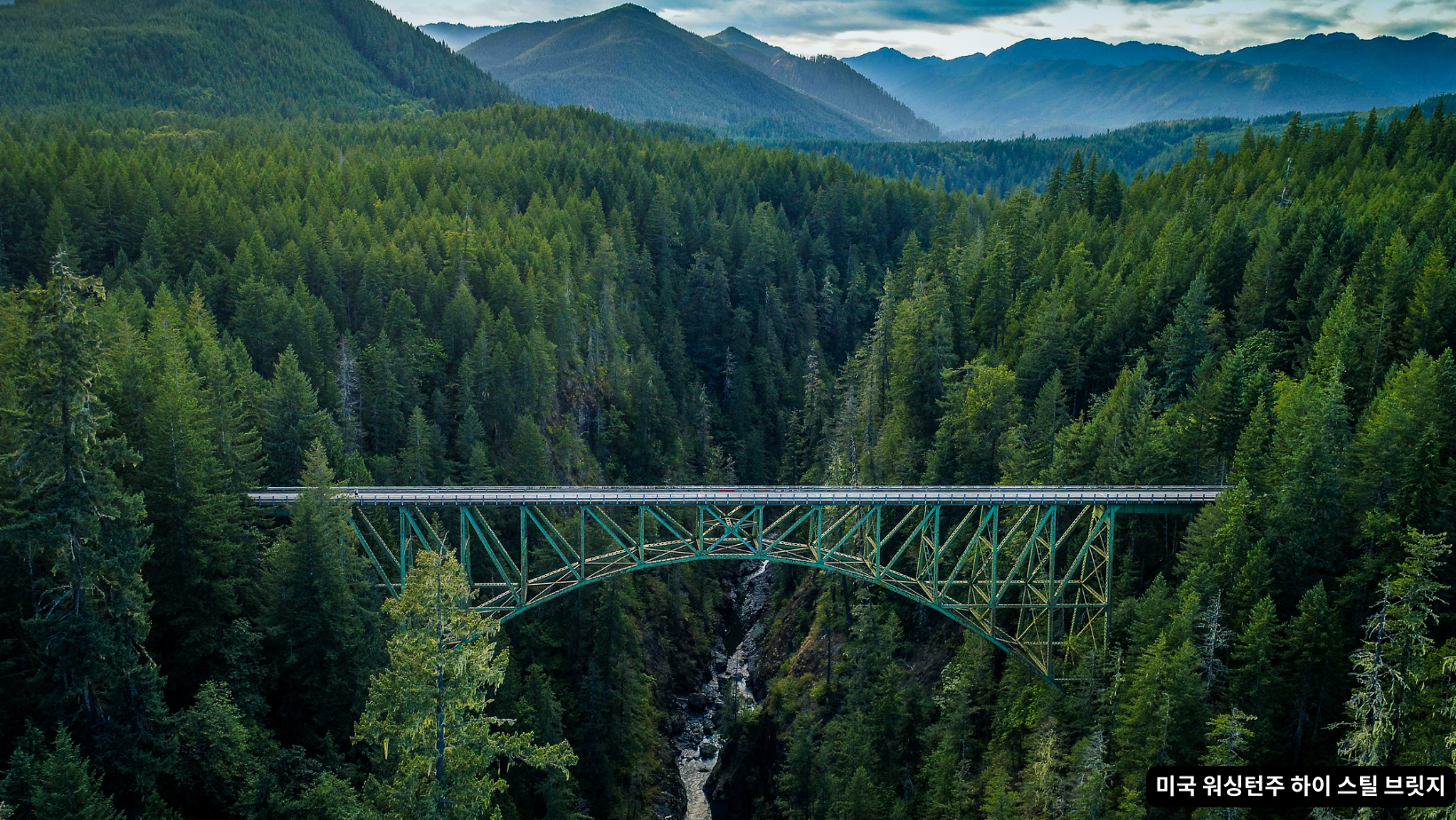 122m 협곡 아래 추락했지만…미 10대 청소년 기적적 생존 - Newswave25 | 뉴스웨이브25 신문사